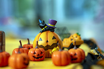 108.　ハロウィン,かぼちゃ,飾り,秋,