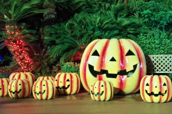 ハロウィンのフリー写真素材 フリー写真素材 Photo Fun Fun ページ
