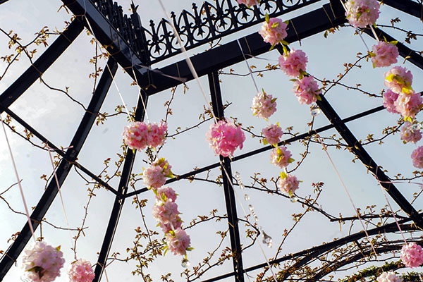 おしゃれ 花 ピンク 飾り のフリー写真素材 フリー写真素材 Photo Fun Fun