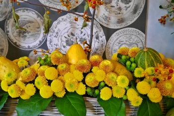 45.　花,黄色,秋,