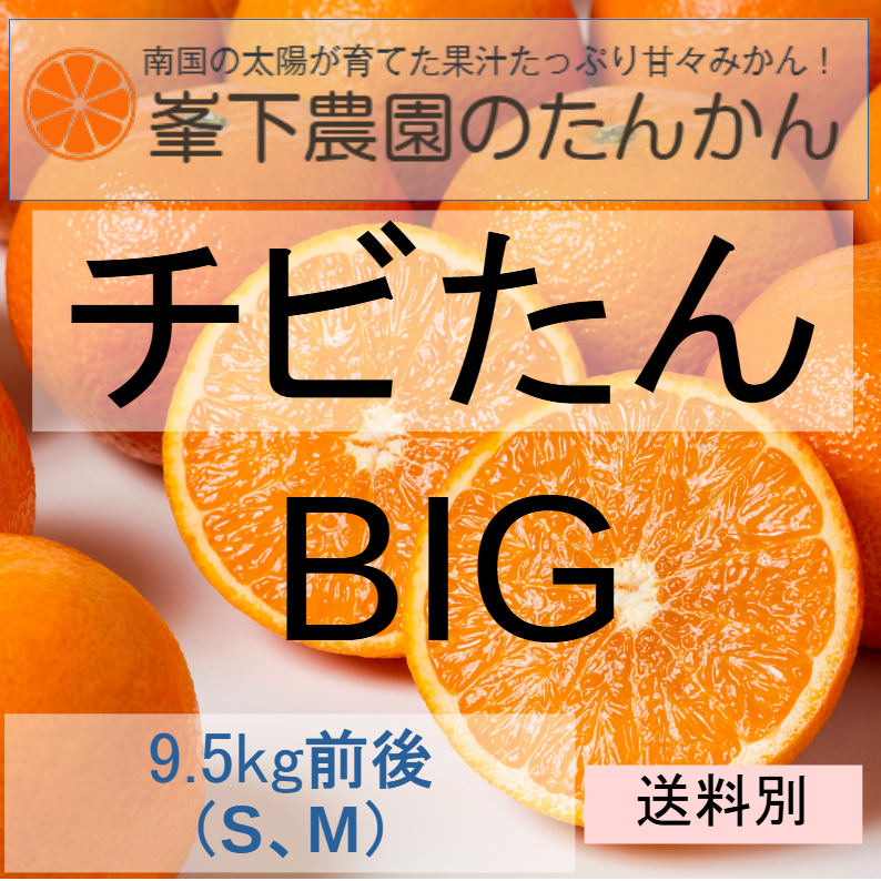 峯下農園 たんかん - みかんやパッションフルーツ等の果物を栽培