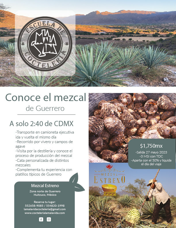 Visita vinata Mezcal Estreno