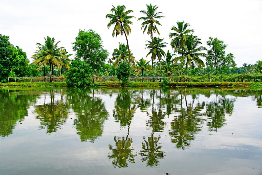 Backwaters_Bootsfahrt_Sun Birds