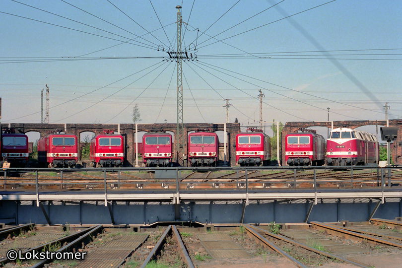DR 243er-Parade im Bw Cottbus am 03.10.1990