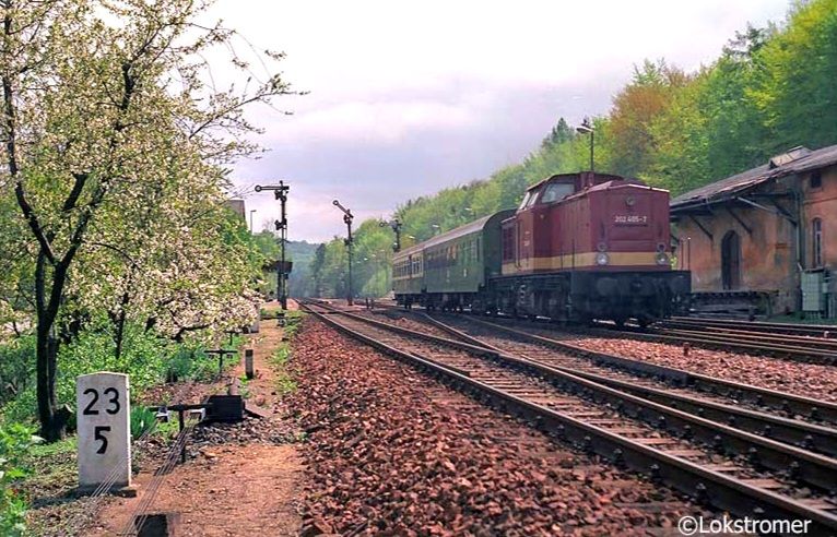 DB 202 405 mit Nahverkehrszug nach Bad Schandau am 1. Mai 1994 in Neukirch West