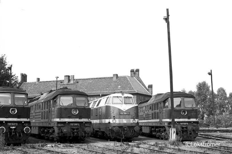 DR 130 040 neben 118 786 und 132 268 in Bw Wustermark am 14.08.1990