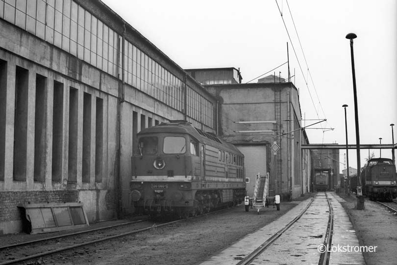 DR 130 080 im Bw Seddin am 17.09.1991