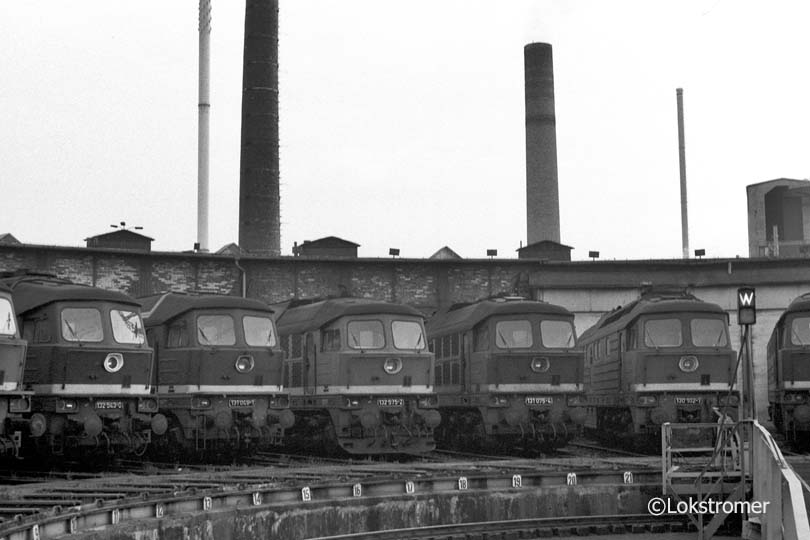 DR 131 048 neben 132 543, 132 575, 130 102 und 131 075 im Bw Halle G am 27.10.1990