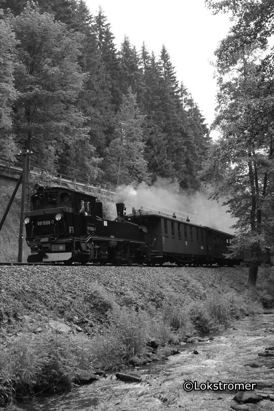 99 1568 bei Forellenhof mit einem talwärts fahrenden Zug