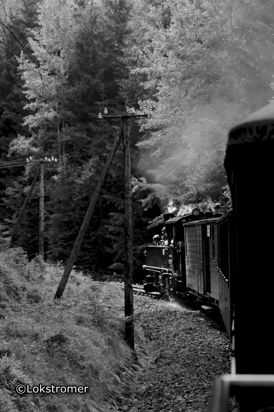 99 1568 im Schwarzwassertal mit einem bergwärts fahrenden Personenzug