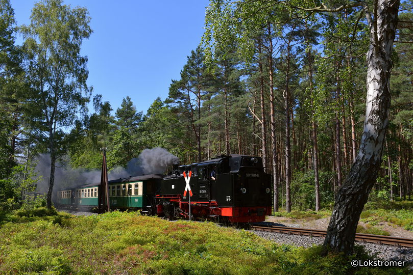 Kurz vor dem Ziel - 99 1781 im Wald vor Göhren mit Personenzug aus Binz KB am 18. Juli 2019