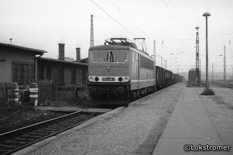 DR 250 248 passiert am 30.10.1984 bei trübem Herbstwetter mit einem Kohlezug den Bahnhof Bitterfeld. Die Lok war in der orleanderroten bzw. signalroten Farbgebung die Lok mit der höchsten Betriebsnummer.