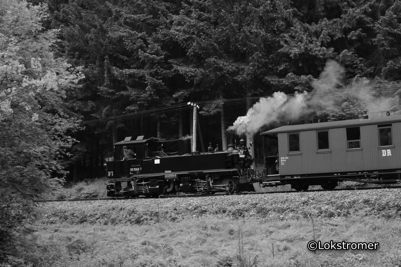 99 1568 im Schwarzwassertal bei Schlössel mit einem talwärts fahrenden Zug