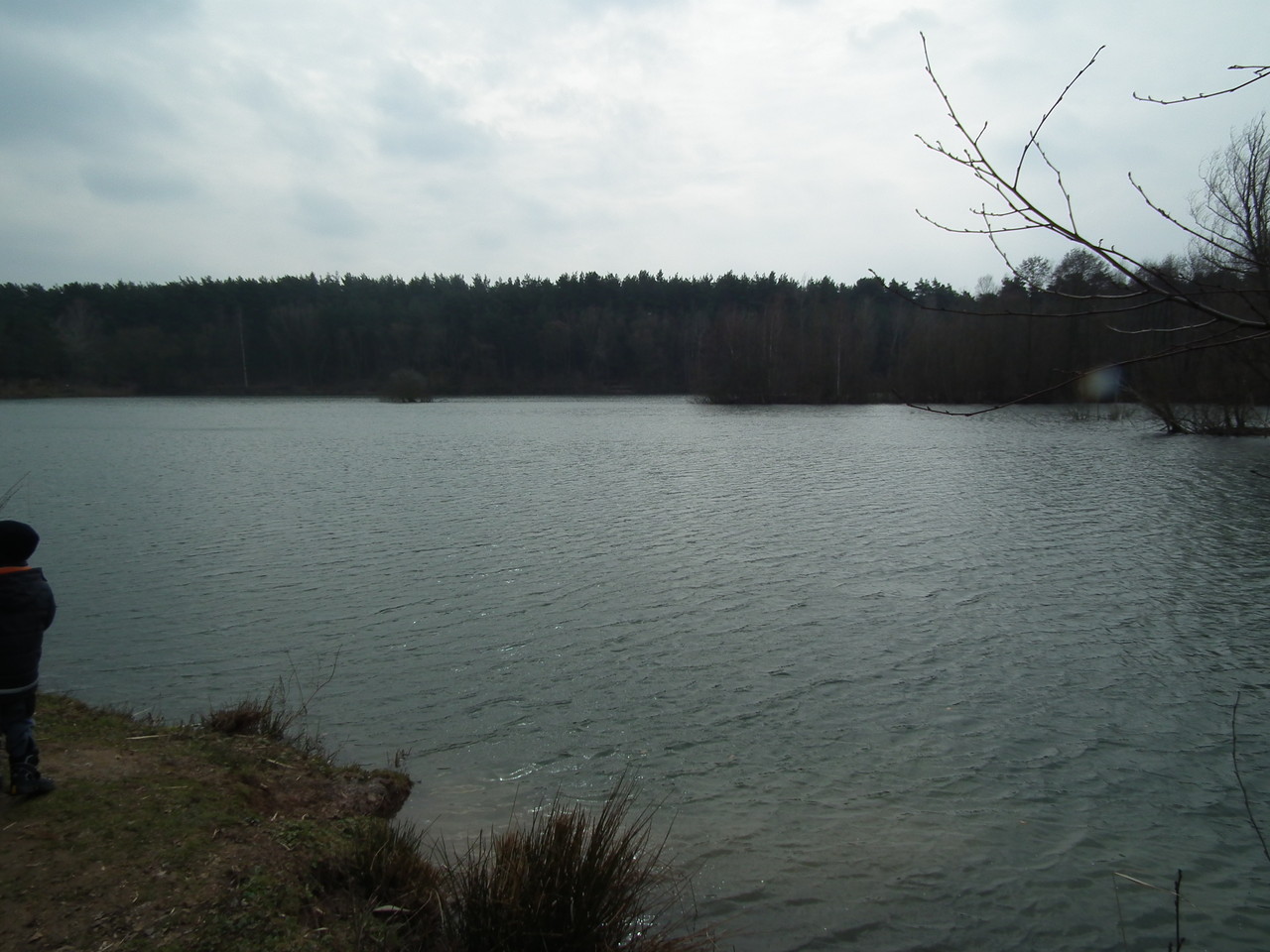 Fischbesatz 2013