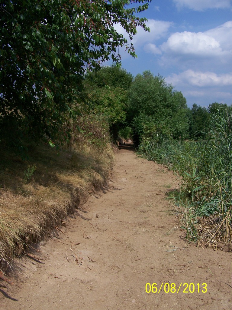 Sonderarbeitseinsatz 2013