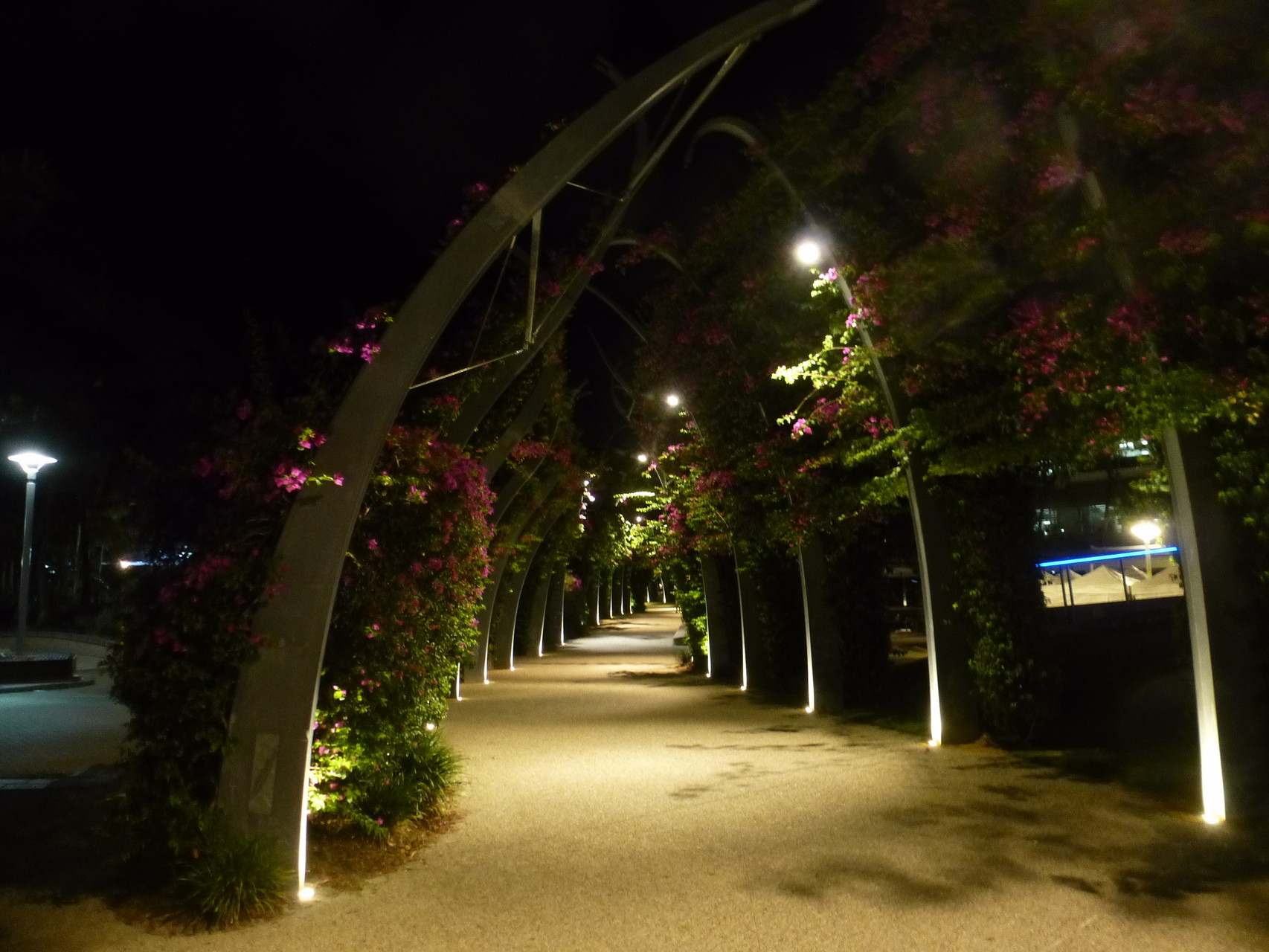 blumenverzirrte Promenade