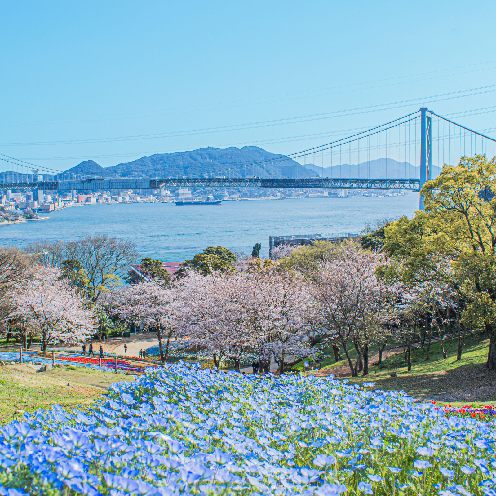 火の山公園