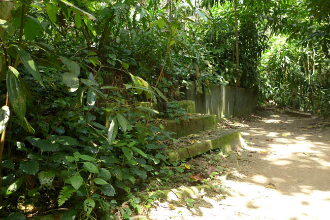 Singapur Treetop Walk