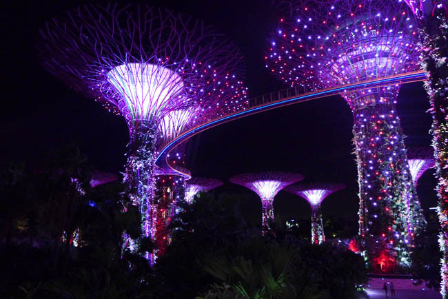 Singapur Gardens by the Bay Nacht