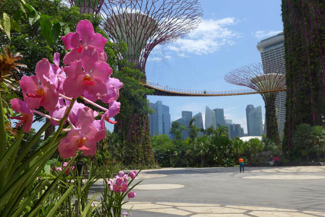 Singapur Gardens by the Bay