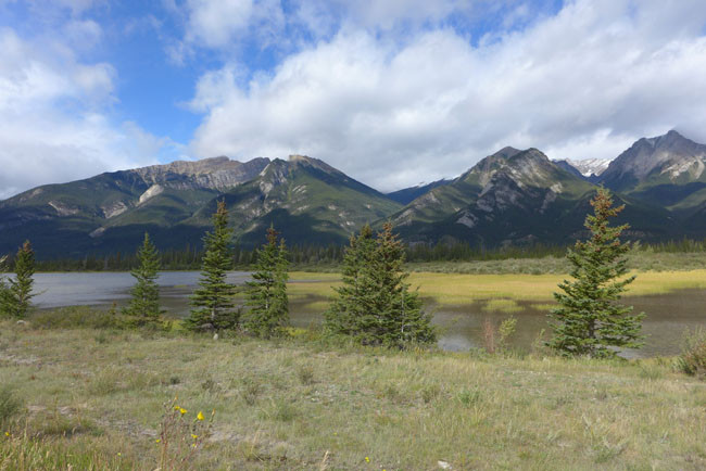 Kanada Alberta Rocky Mountains 