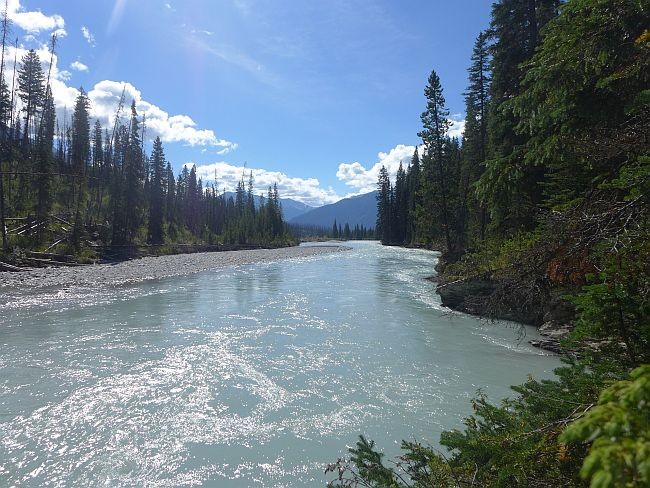 Kanada Alberta Gletscherfluss Fluss Rocky Mountains Wald