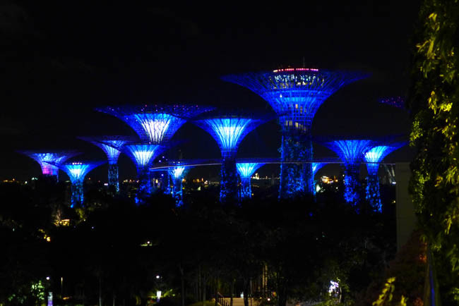 Singapur Gardens by the Bay Nacht