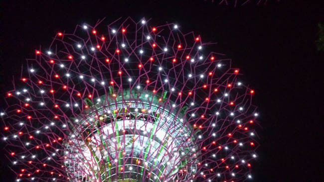 Singapur Gardens by the Bay Nacht