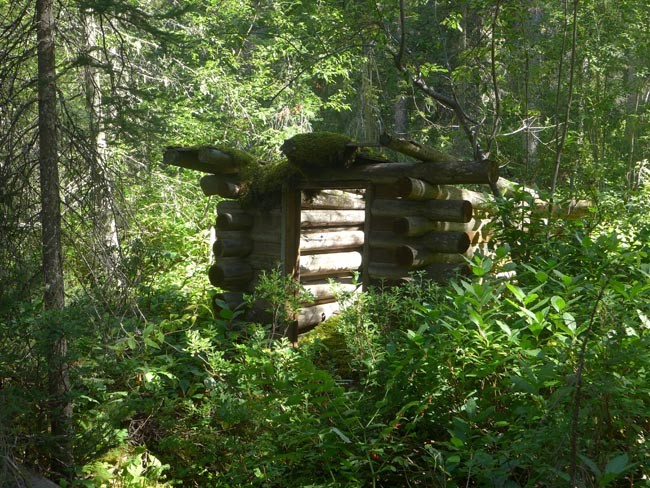 Kanada Alberta Nationalpark Hütte Wald