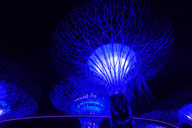 Singapur Gardens by the Bay Nacht