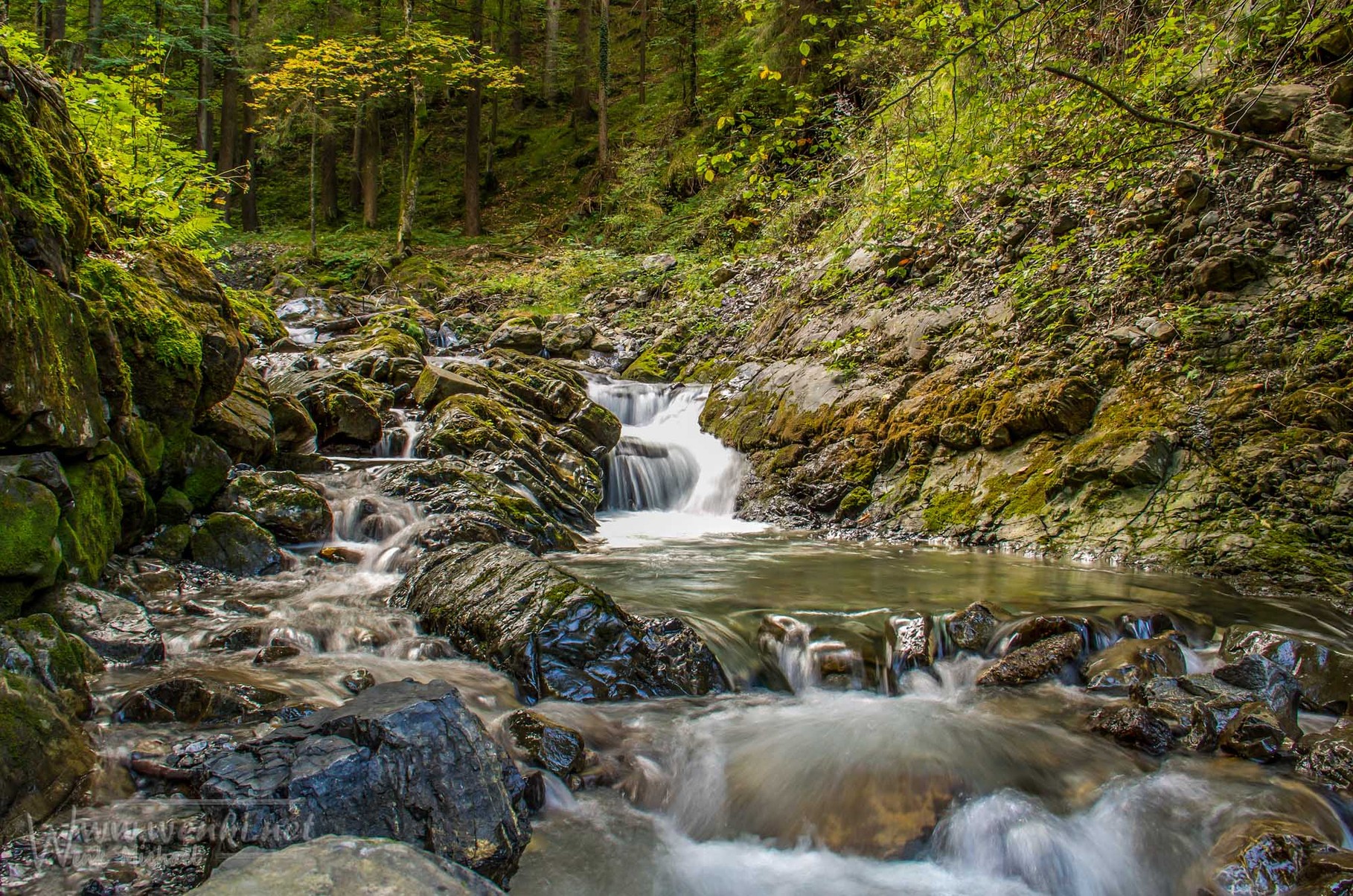 Natur, unterwegs in den Bergen