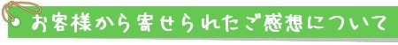 お客様からのご感想・声