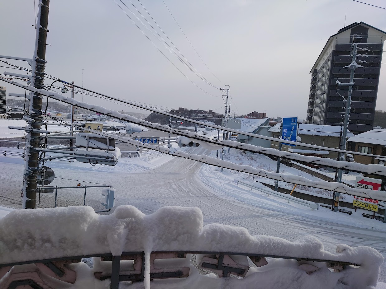 令和5年1月25日大雪