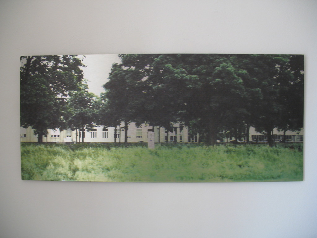 Auch eine Allee 1/7 2010 ca. 47,5x21cm 200.-