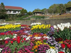 和歌山県植物公園緑花センター