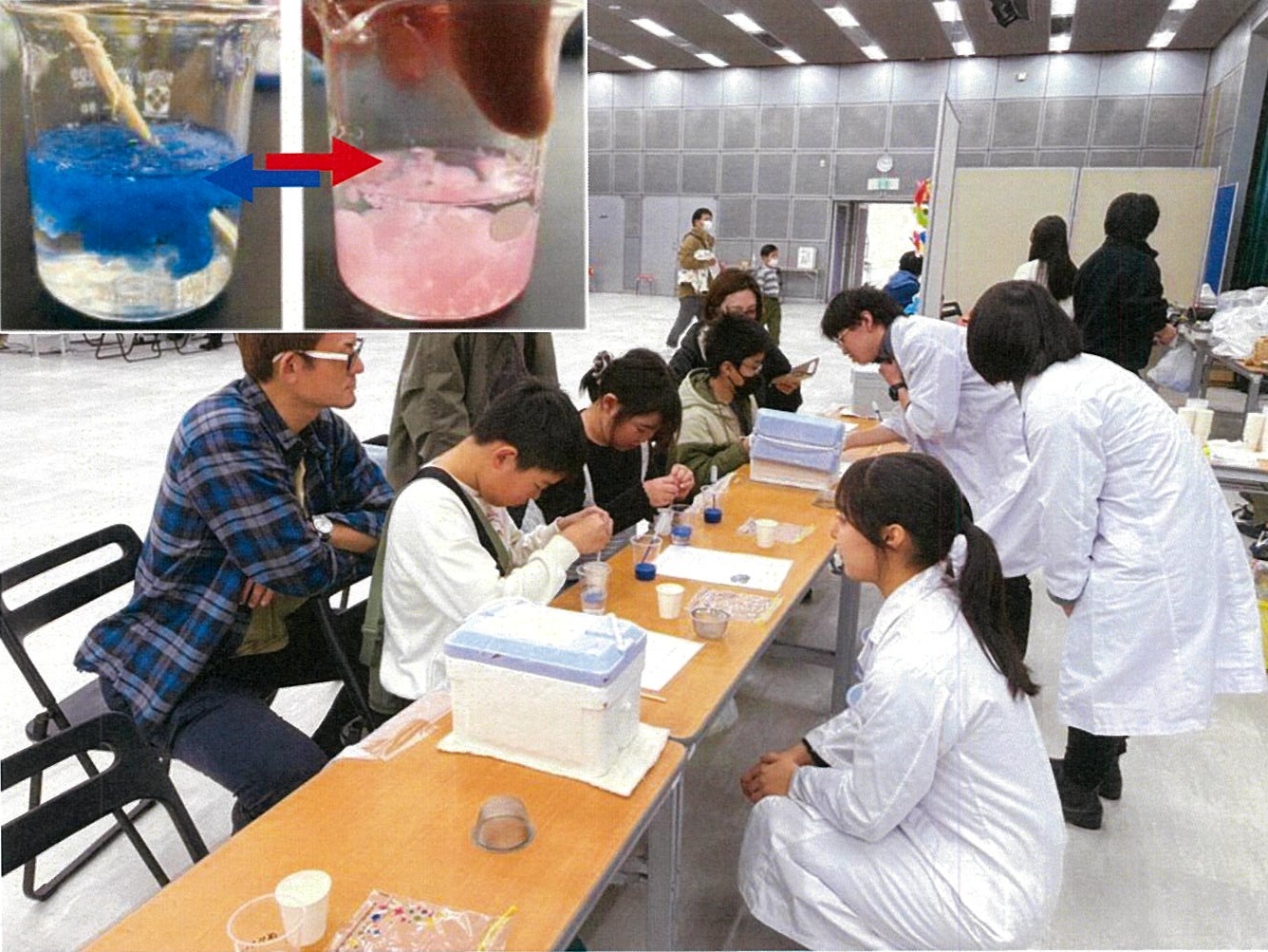 温度で色が変わる人工イクラ