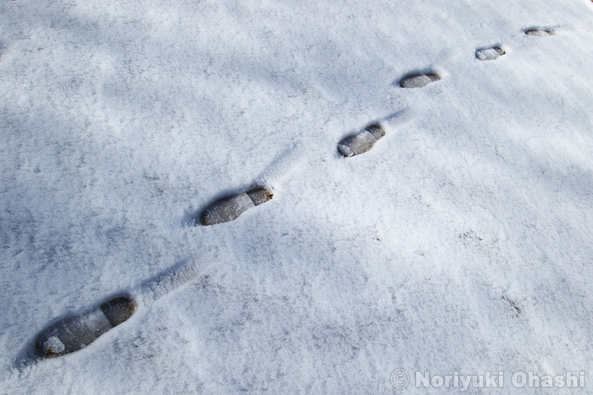 雪面に残された足跡