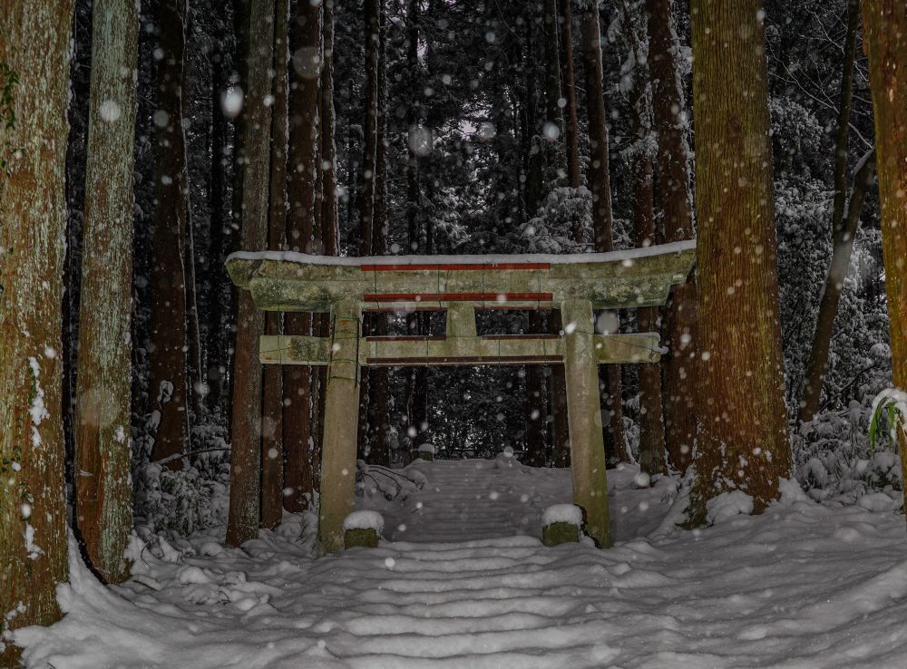 迫力あります。