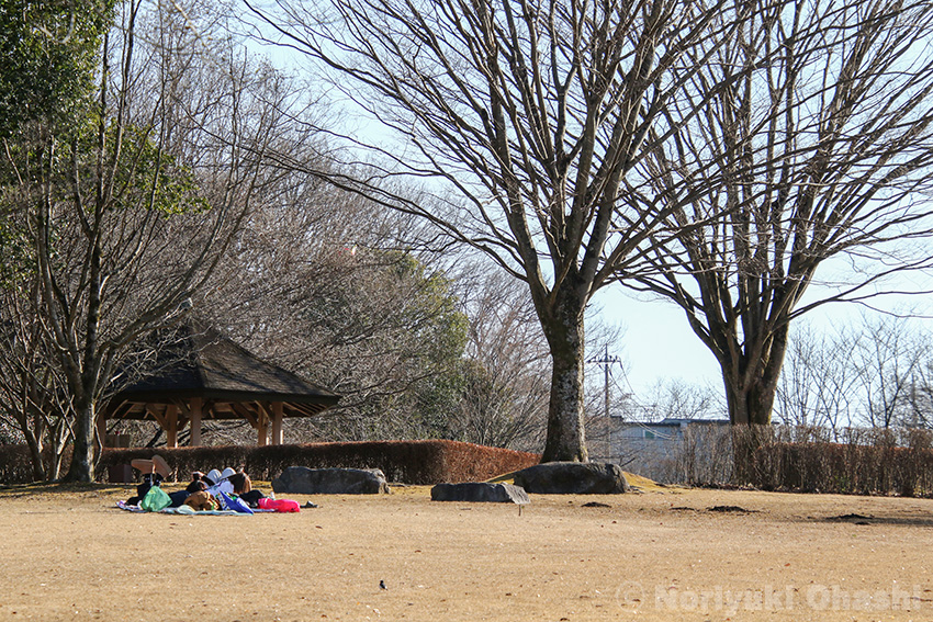 長岡公園で日向ぼっこ