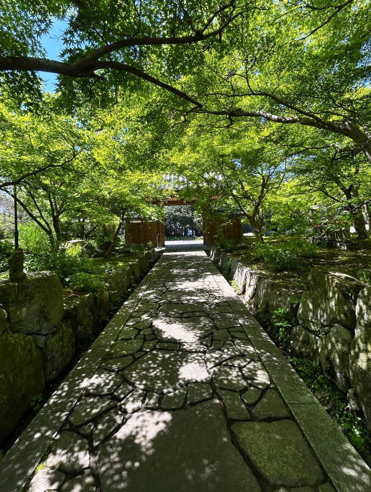 京都のよう