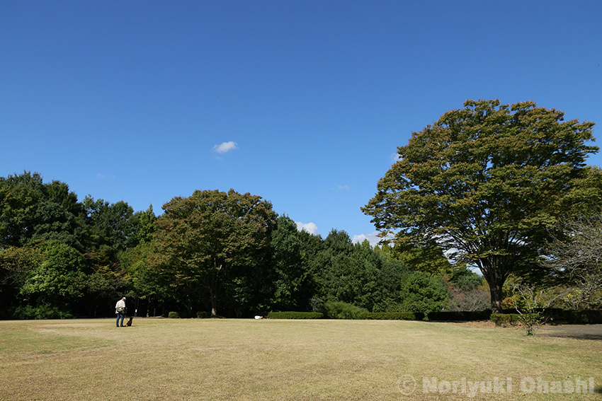 秋空の長岡公園
