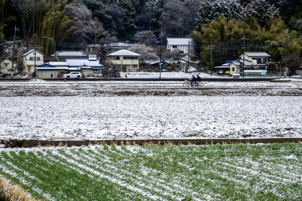 雪の中の通学（大川さん撮影）