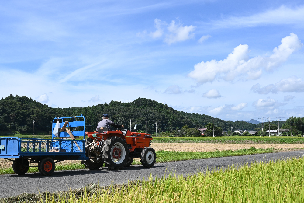 ゆたかな郷とよさと　秋の田園風景