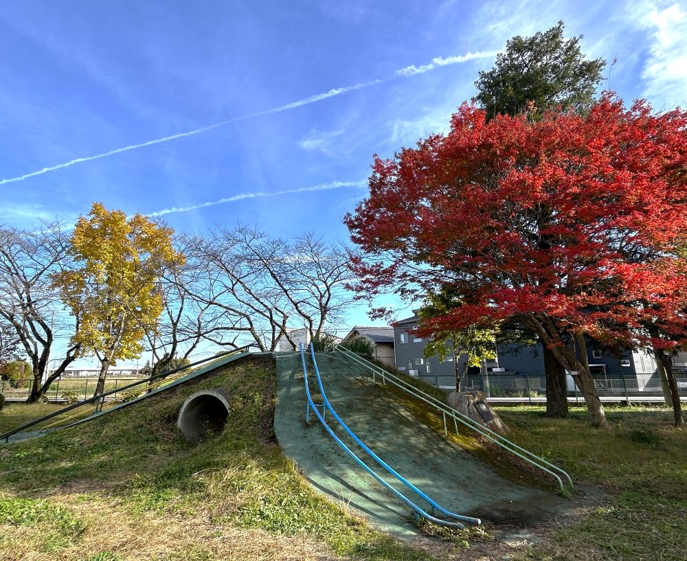豊郷中央小学校の豊遊園だったところと紅葉。昔はここがメインの遊び場でした。