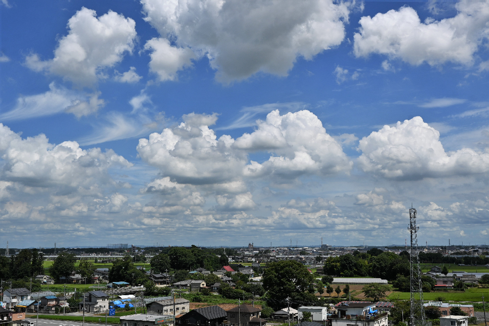 青空に湧き立つ夏雲の群れ（富士見が丘　あさひ坂から）