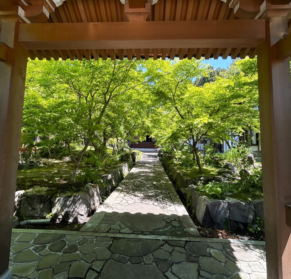 万松寺の青紅葉