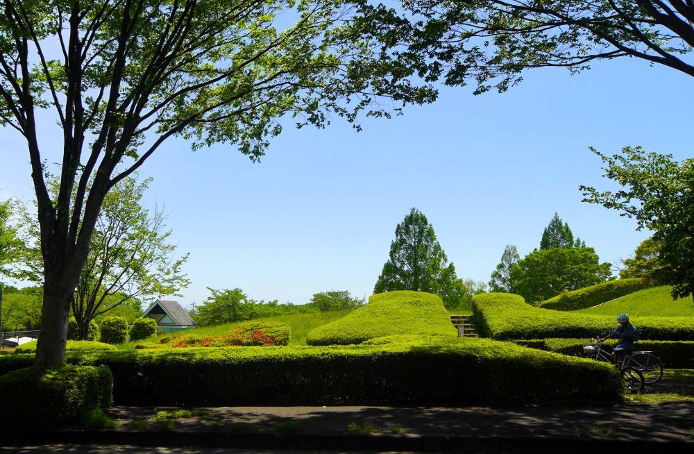公園の芝もきれい