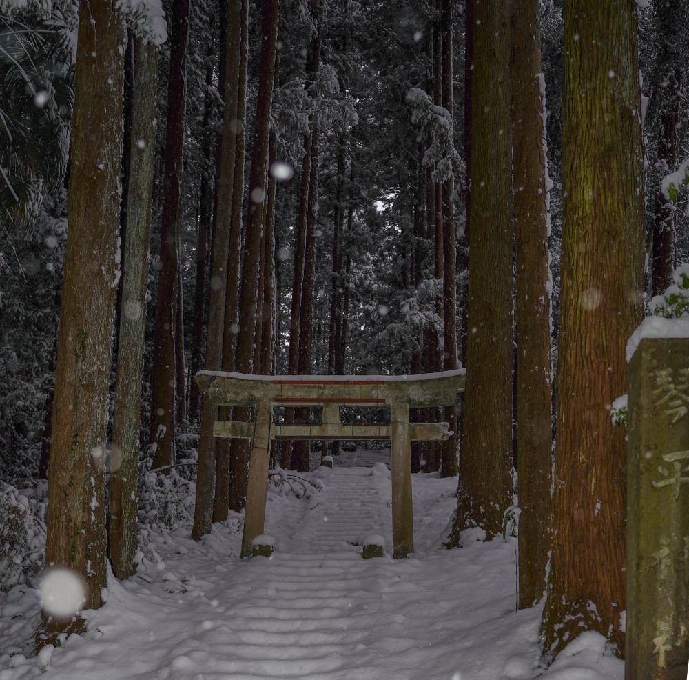 雪降る中の琴平神社