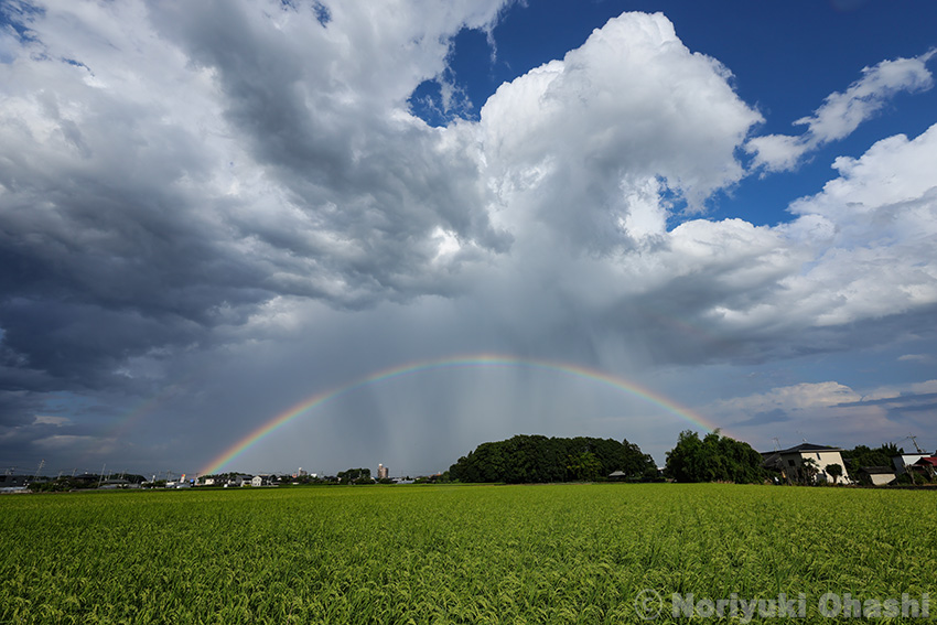 雷雨のあとに掛かった虹（超広角レンズ使用）