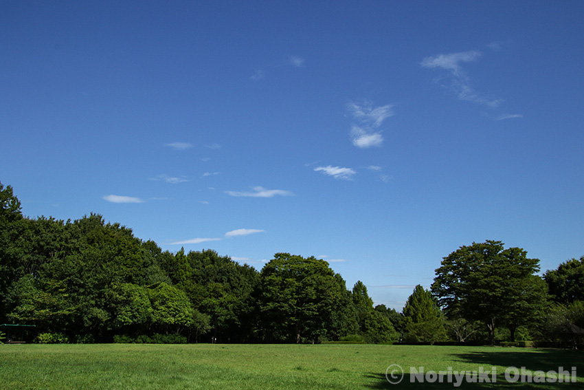 暑さが続く中、秋めいてきた空（長岡公園）